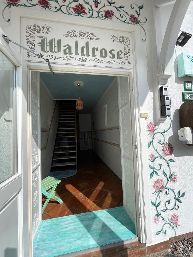Villa Waldrose บินซ์ ภายนอก รูปภาพ